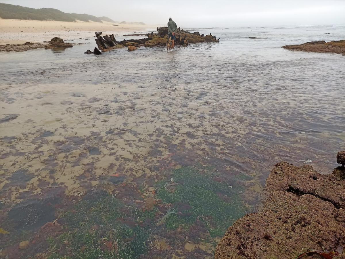 Beached House On Golden Sanddunes Cannon Rocks Exterior foto